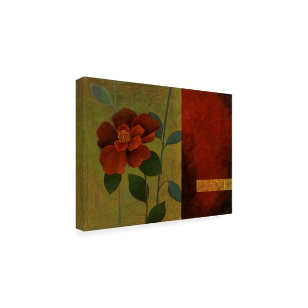 Pablo Esteban 'Red Flower Over Dark Panels 2' Canvas Art,35x47